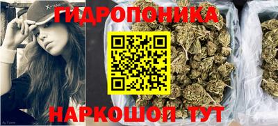 apvp Кандалакша