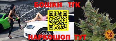тгк Канаш