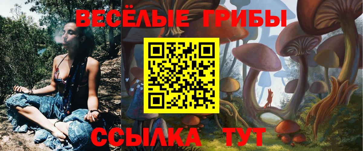 Красноярск  Галлюциногенные грибы Magic Shrooms  Вход с VPN 