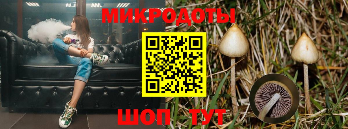 Галлюциногенные грибы Cubensis Красноярск
